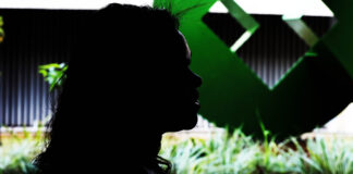 CLDF dá voz à luta contra a violência feminina