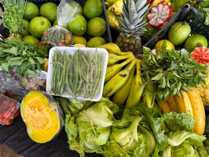 Governo beneficia mais de 2 mil produtores da agricultura familiar goias