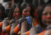 Censo 2022 identifica 391 etnias e 295 línguas indígenas no Brasil