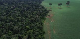 Caravana da Resposta percorre 3 mil km rumo à COP30 para denunciar impactos do agronegócio na Amazônia e no Cerrado