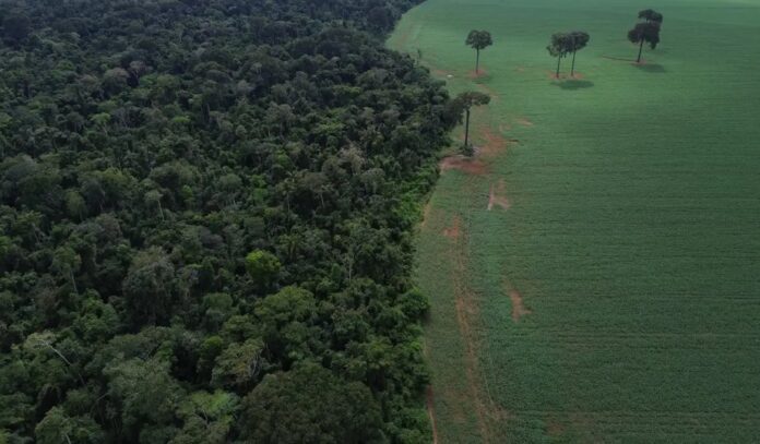 Caravana da Resposta percorre 3 mil km rumo à COP30 para denunciar impactos do agronegócio na Amazônia e no Cerrado  mundo