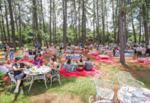 Feriado terá lazer gratuito, transporte sem tarifa e serviços públicos com horários especiais no DF