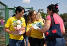 Mais de 600 mil pessoas visitam cemitérios públicos do DF durante o feriado de Finados