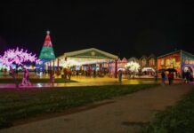 Divulgado resultado definitivo de chamamento público para o projeto Nosso Natal 2025