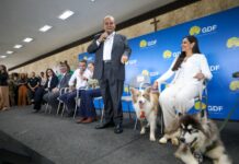 Governo do DF cria política inédita de apoio aos protetores de animais com cartões Ração e Castração