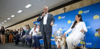 Governo do DF cria política inédita de apoio aos protetores de animais com cartões Ração e Castração