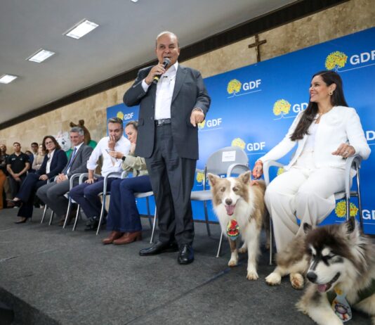 Governo do DF cria política inédita de apoio aos protetores de animais com cartões Ração e Castração