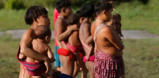 Ações de saúde reduzem em 27,6% a mortalidade no território Yanomami desde 2023