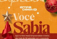 Feira de Natal celebra criatividade e empreendedorismo em Brasília