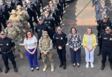 PMDF entrega 27 viaturas ao Policiamento de Prevenção Orientado à Violência Doméstica