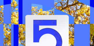 Inas e GDF Saúde: um ano de transformação, inovação e fortalecimento