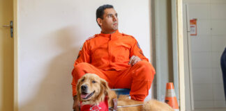 Cães-guia do Corpo de Bombeiros buscam famílias para nova fase do projeto