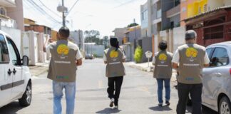 IPEDF encerra 2025 com novos estudos, diagnósticos e base de informação ampliada