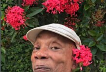 Milton Nascimento receberá título de Doutor Honoris Causa da Fiocruz