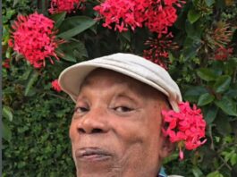 Milton Nascimento receberá título de Doutor Honoris Causa da Fiocruz