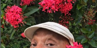 Milton Nascimento receberá título de Doutor Honoris Causa da Fiocruz