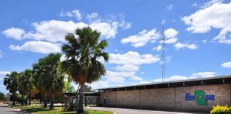 Aplicativo da Embrapa ajuda agricultores do semiárido a identificar áreas para barragens subterrâneas