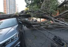 Ventania deixa mais de 30 mil clientes da Enel sem energia em São Paulo