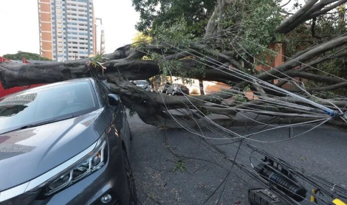 Ventania deixa mais de 30 mil clientes da Enel sem energia em São Paulo mundo