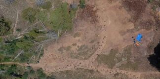 Pegadas fósseis indicam possível dinossauro mancando há 150 milhões de anos