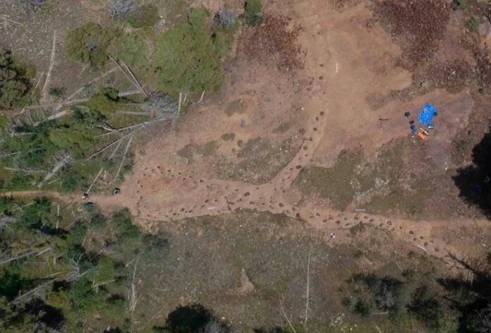 Pegadas fósseis indicam possível dinossauro mancando há 150 milhões de anos tecnologia