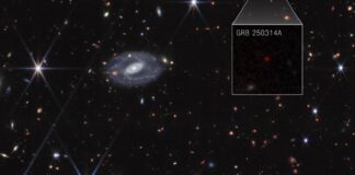 James Webb flagra supernova de estrela ancestral no início do Universo