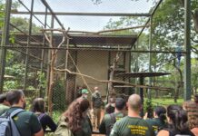 GDF registra mais de 2,8 mil ações fiscais em 2025 e reforça proteção ambiental