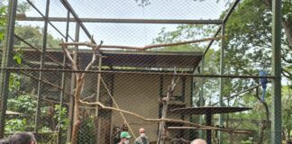 GDF registra mais de 2,8 mil ações fiscais em 2025 e reforça proteção ambiental