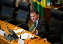 Lei garante proteção a animais comunitários e segurança jurídica a protetores no DF Ricardo Vale - CLDF