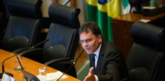 Lei garante proteção a animais comunitários e segurança jurídica a protetores no DF Ricardo Vale - CLDF