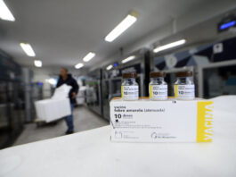 DF recebe 50 mil doses de vacinas contra a febre amarela