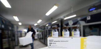 DF recebe 50 mil doses de vacinas contra a febre amarela