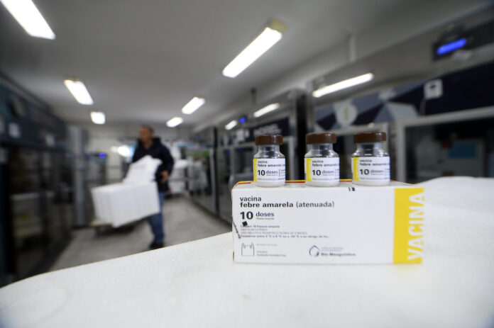 DF recebe 50 mil doses de vacinas contra a febre amarelabrasilia saude