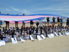 Brasil lidera ranking mundial de assassinatos de pessoas trans em 2025, aponta dossiê da Antra