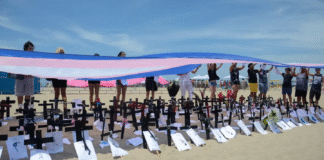 Brasil lidera ranking mundial de assassinatos de pessoas trans em 2025, aponta dossiê da Antra