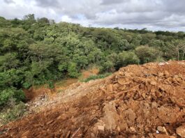 GDF abre licitação de R$ 3,9 milhões para recuperar área degradada no Sol Nascente