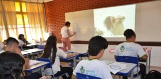 Estado convoca mais 250 professores aprovados em concurso público