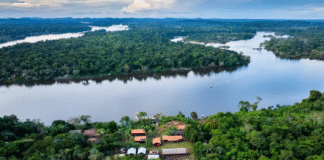 Fundo Amazônia destina R$ 80 milhões para fortalecer produção de alimentos na Amazônia Legal