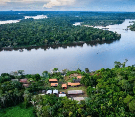 Fundo Amazônia destina R$ 80 milhões para fortalecer produção de alimentos na Amazônia Legal
