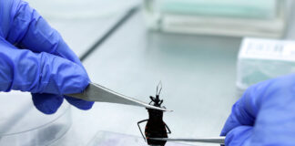 Vigilância Ambiental analisa animais que representam risco à saúde no DF