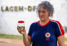 Casos de acidentes com animais peçonhentos aumentam 24% no Distrito Federal em 2025