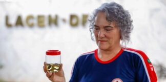 Casos de acidentes com animais peçonhentos aumentam 24% no Distrito Federal em 2025