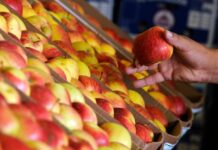 Consumo de ultraprocessados cai entre adultos no DF, mas dados ainda preocupam especialistas