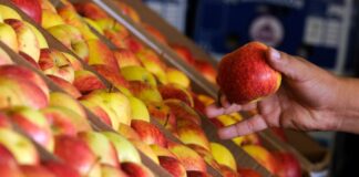 Consumo de ultraprocessados cai entre adultos no DF, mas dados ainda preocupam especialistas