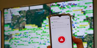 DF registra prisão de um agressor por violência doméstica a cada uma hora e meia