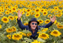 Alceu Valença celebra 80 anos com turnê nacional “80 Girassóis”