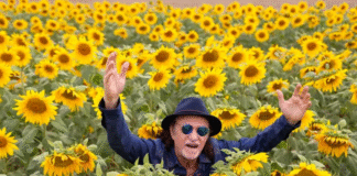 Alceu Valença celebra 80 anos com turnê nacional “80 Girassóis”