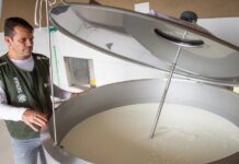 PAA Leite 2026 prorroga prazo para envio de propostas