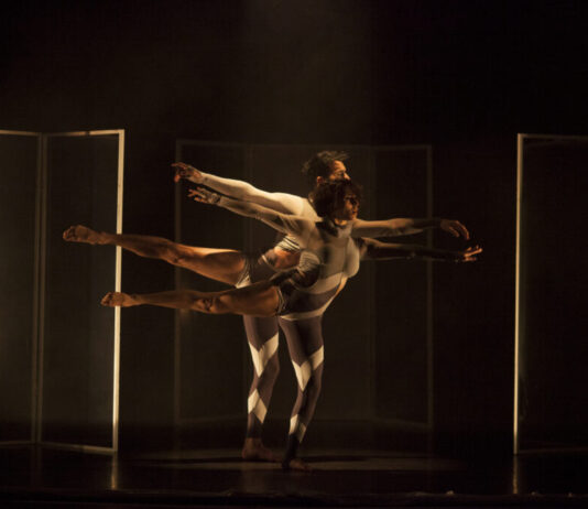 Grupo Pele leva dança e acrobacia ao Sesc Gama