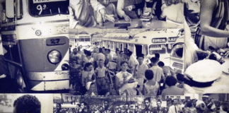 Congresso celebra 80 anos do Sesc e do Senac em sessão solene no Senado nesta quarta (25)